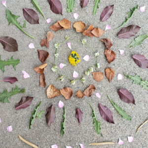 Earthworks - Look to Nature as Inspiration!